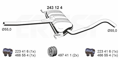 ERNST 243124