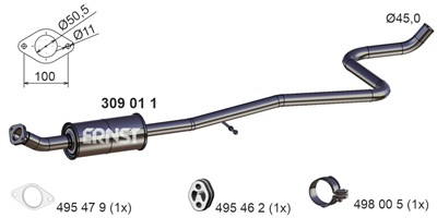 ERNST 309011