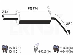 ERNST 645034