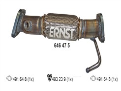ERNST 646475