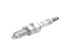 BOSCH 0 241 145 504 Nickel