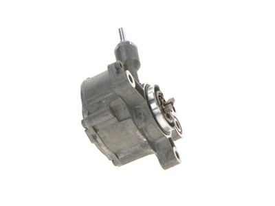 BOSCH F 009 D02 695 Číslo výrobce: Pompa del vuoto D165 new. EAN: 4047024889903.