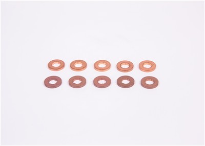 BOSCH F 00V C17 504 EAN: 4047023044303.