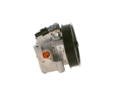 BOSCH K S00 000 098 EAN: 4047025441469.