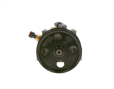 BOSCH K S00 000 098 EAN: 4047025441469.