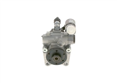 BOSCH K S00 000 756 EAN: 4047025452076.