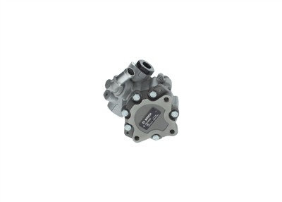 BOSCH K S01 000 507 EAN: 4047025449755.