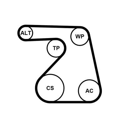 CONTITECH 6PK1217WP1 Číslo výrobce: 6PK1217. EAN: 4010858156152.