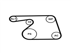 CONTITECH 6PK1318WP1