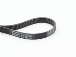 CONTITECH 6PK1205