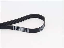 CONTITECH 6PK1836