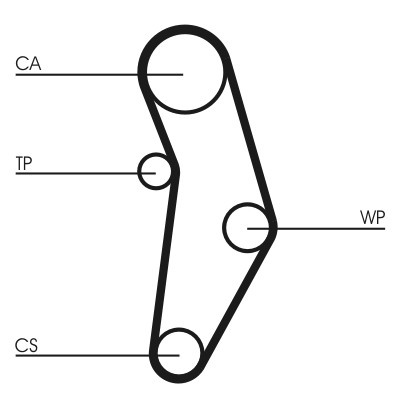 CONTITECH CT1049 Číslo výrobce: CPPN 992 8000M 22. EAN: 4010858029456.