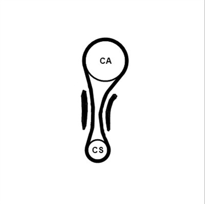 CONTITECH CT1210K1 Číslo výrobce: CT 1210. EAN: 4010858007072.