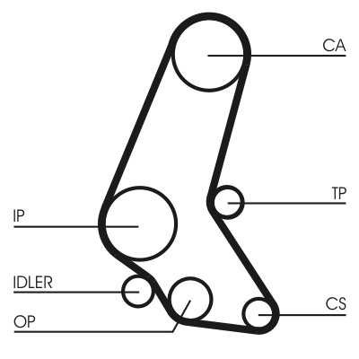 CONTITECH CT748K6 Číslo výrobce: CT 748. EAN: 4010858769468.