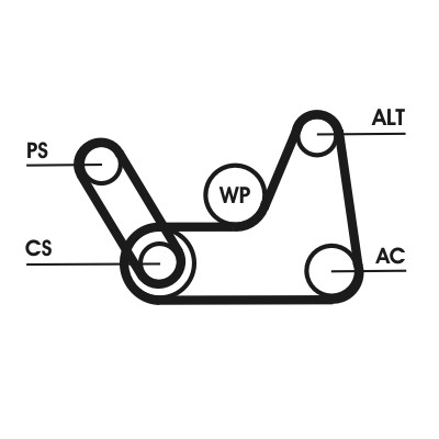 CONTITECH 6PK1019 ELAST T1 Číslo výrobce: 5 PK 690. EAN: 4010858507886.