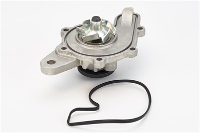 CONTITECH WPS3013 EAN: 4010858070120.