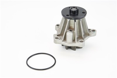 CONTITECH WPS3034 EAN: 4010858311247.