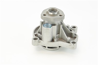 CONTITECH WPS3040 EAN: 4010858311308.