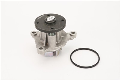 CONTITECH WPS3056 EAN: 4010858311629.