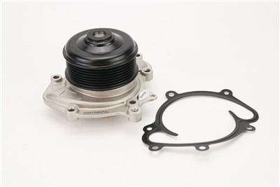 CONTITECH WPS3072 EAN: 4010858998196.
