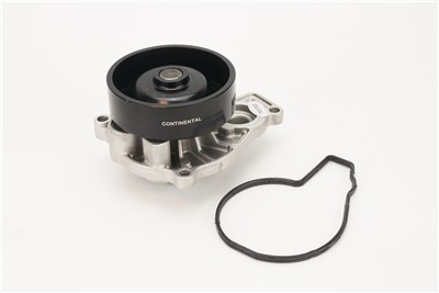 CONTITECH WPS3079 EAN: 4010858998097.