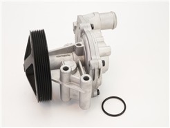 CONTITECH WPS3081