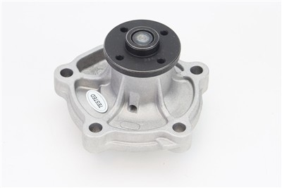 CONTITECH WPS3137 EAN: 4010858996048.