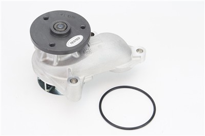 CONTITECH WPS3142 EAN: 4010858996017.