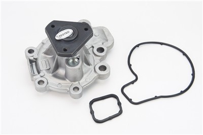 CONTITECH WPS3289 EAN: 4010858993238.