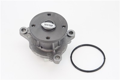 CONTITECH WPS3147 EAN: 4010858995966.
