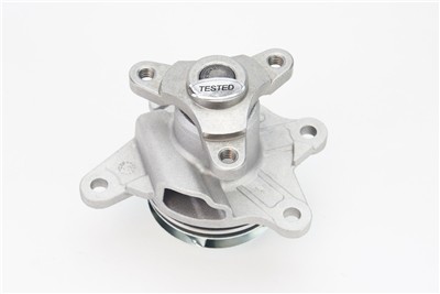 CONTITECH WPS3154 EAN: 4010858995911.