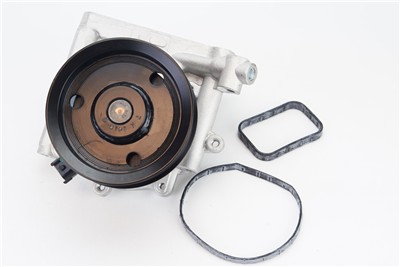 CONTITECH WPS3161 EAN: 4010858995874.