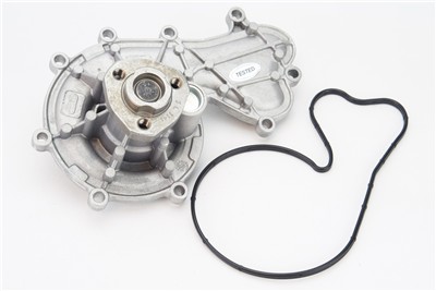 CONTITECH WPS3177 EAN: 4010858995775.