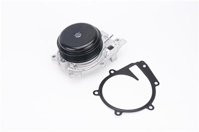 CONTITECH WPS3187 EAN: 4010858995713.