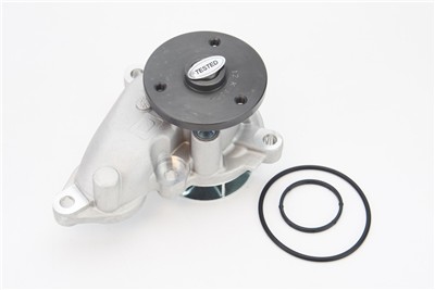 CONTITECH WPS3188 EAN: 4010858995706.