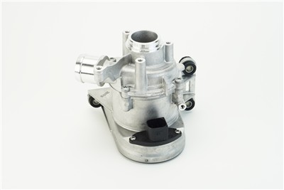 CONTITECH WPS3198 EAN: 4010858993504.