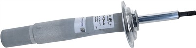 SACHS 310 380 EAN: 4013872465644.