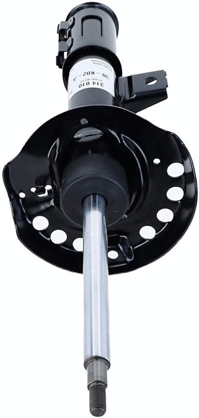 SACHS 314 010 EAN: 4013872730599.