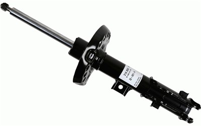 SACHS 316 883 EAN: 4013872900909.