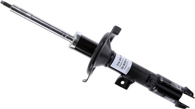 SACHS 316 993 EAN: 4013872948413.