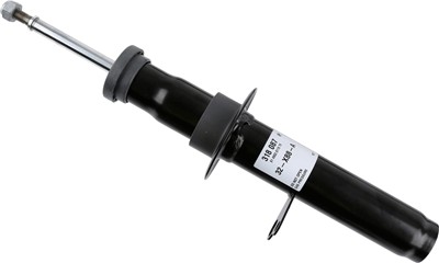 SACHS 318 087 EAN: 4059923001652.