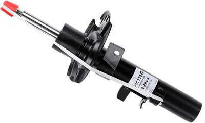 SACHS 318 725 EAN: 4059923035350.