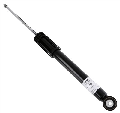 SACHS 318 818 EAN: 4059923048442.