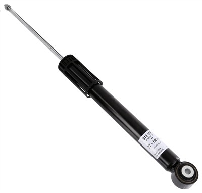 SACHS 318 819 EAN: 4059923048466.