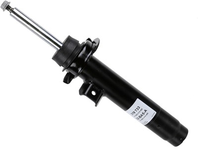SACHS 319 733 EAN: 4059923020790.