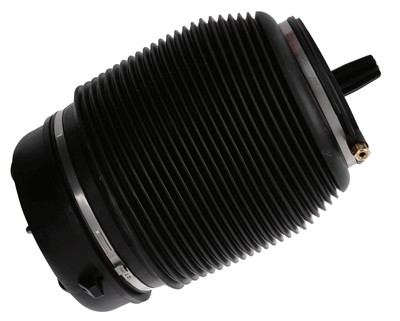 SACHS 994 906 EAN: 4059923019589.