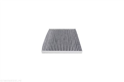 AUTOMEGA 180006310 EAN: 4053184271014.