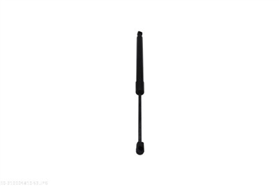 AUTOMEGA 210004810 EAN: 4053184442834.