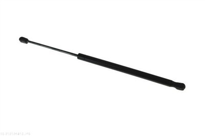 AUTOMEGA 210194810 EAN: 4053184473326.