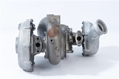 BorgWarner 10009900041 EAN: 4063984001988.